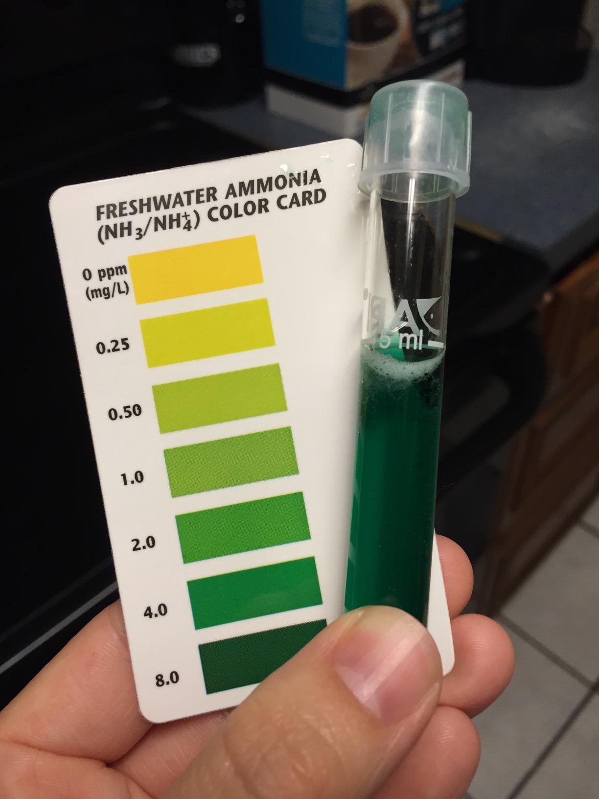 API AMMONIA 130-Test Freshwater and Saltwater Aquarium Water Test Kit customer photo 1
