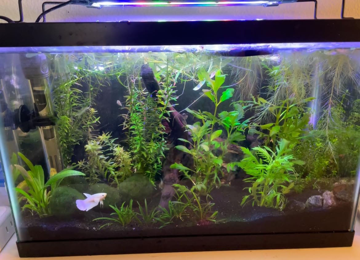 API LEAF ZONE Freshwater Aquarium Plant Fertilizer 18-Ounce Bottle White customer photo 1