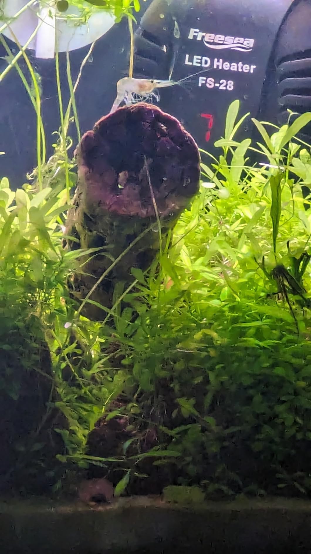 API LEAF ZONE Freshwater Aquarium Plant Fertilizer 18-Ounce Bottle White customer photo 2