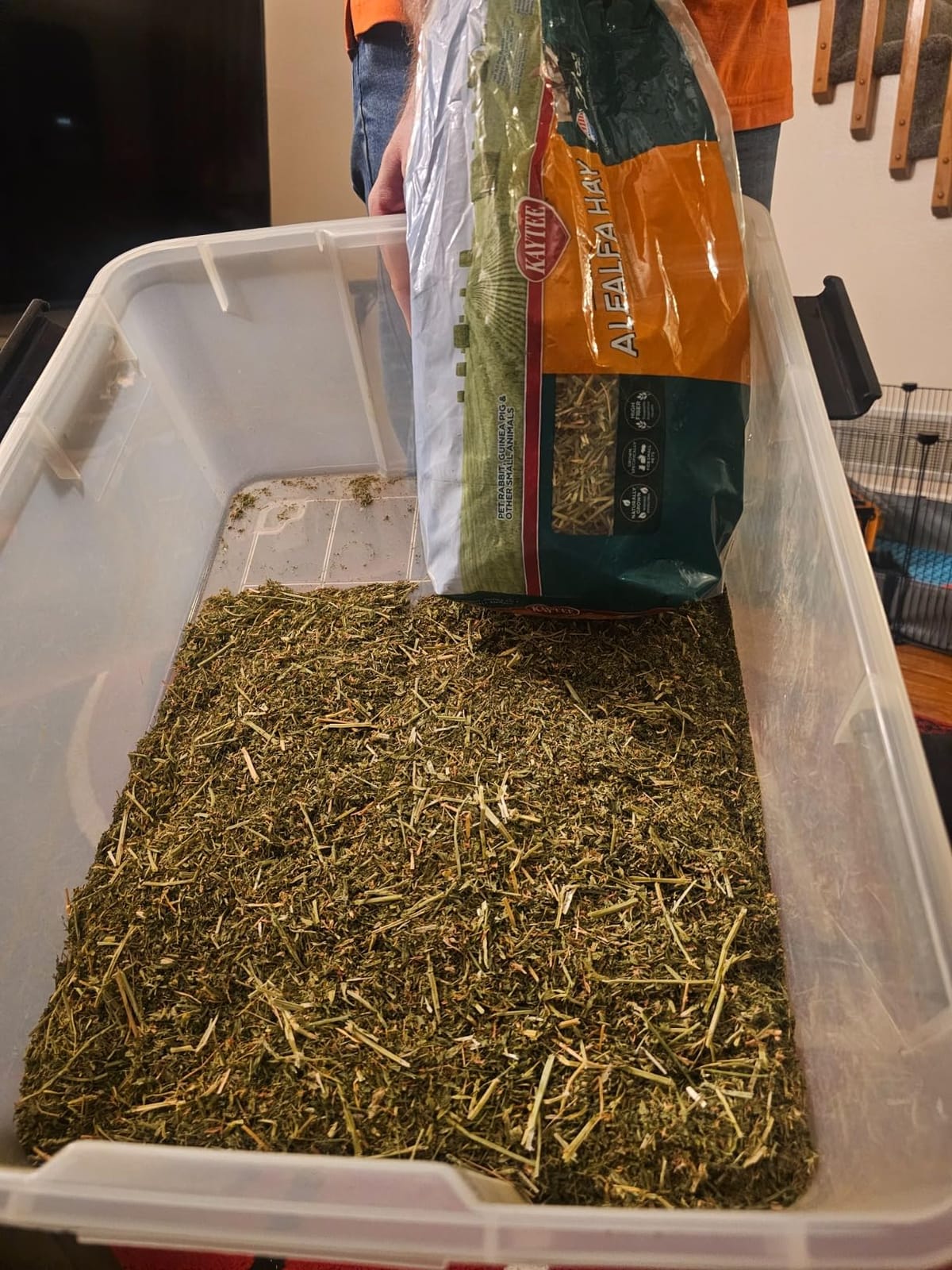 Kaytee Alfalfa Mini Bales 24 Ounces | High Protein and Calcium, No Pesticides or GMO customer photo 2