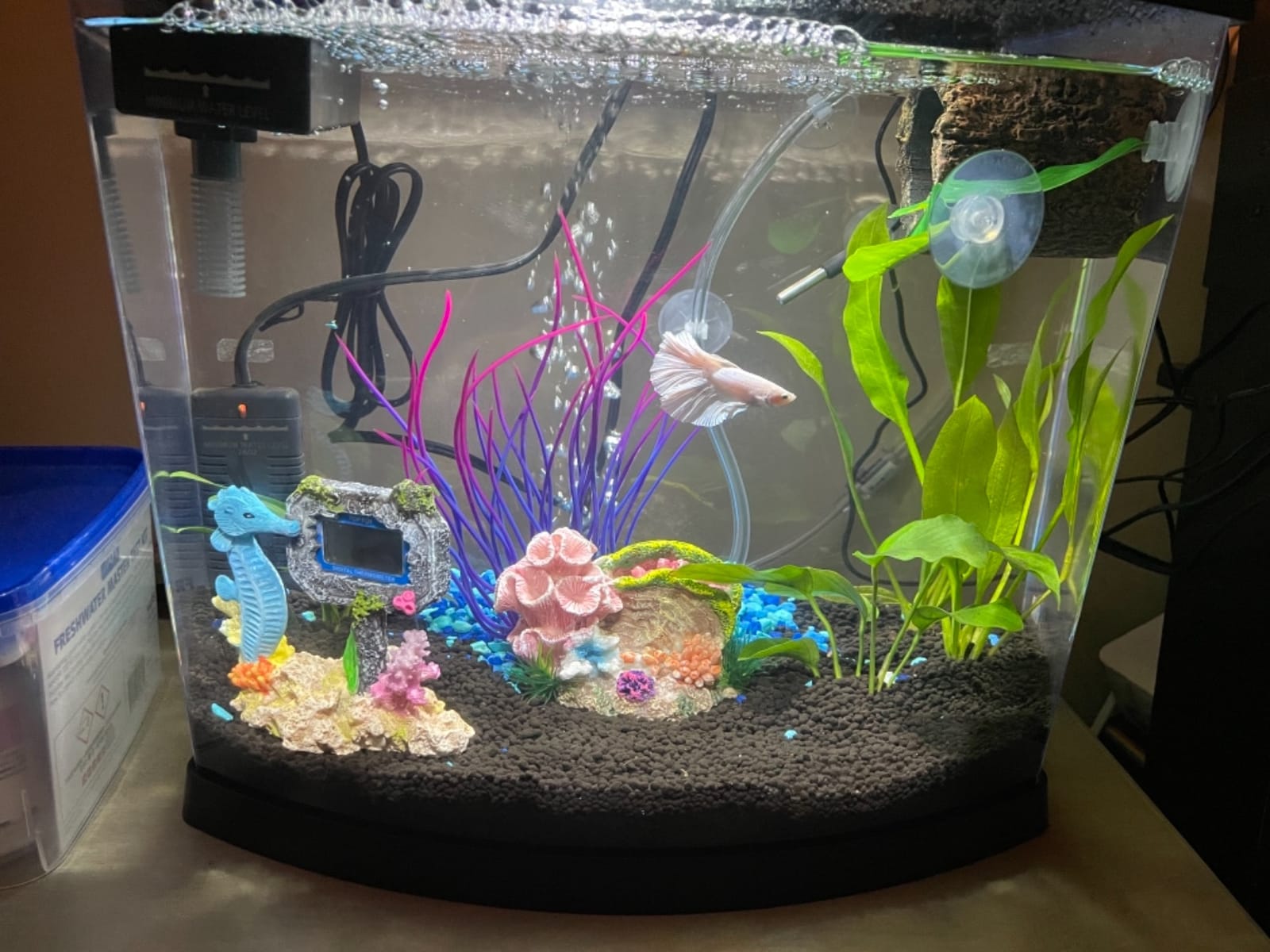 Seachem Prime 250ml customer photo 2