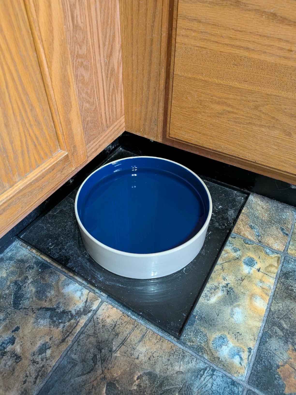 SPOT Standard Crock Dish for Small Animals - Food/Water Bowl for Small Pets, Round Ceramic Bowl with High Walls, Ideal for Birds, Small Cats, Dishwasher Safe - 4 inch, 1 Cup (8oz) customer photo 2