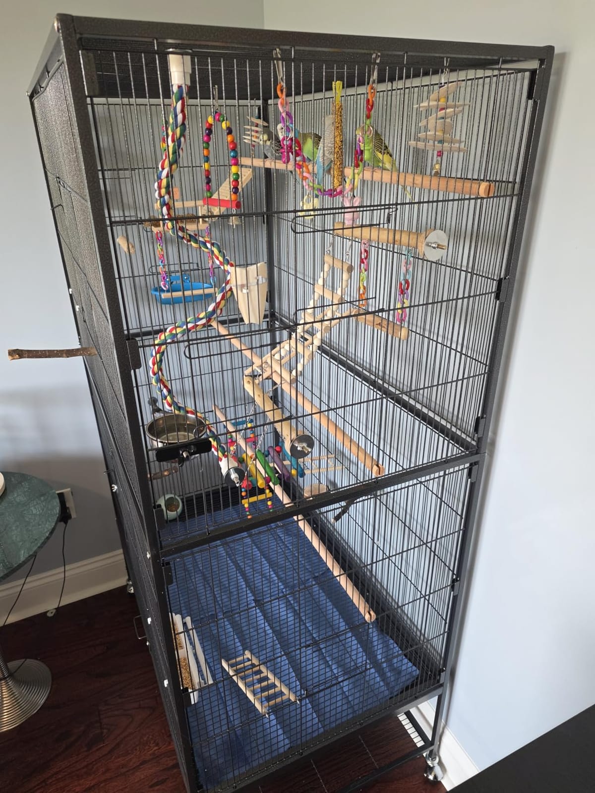 Prevue Hendryx Pet Products Wrought Iron Flight Cage - Big Rolling Bird Cage for Parakeets, Cockatiels, Conures, Lovebirds, Canaries, Finches, Parrotlets, & Caiques, 5 Ft - X-Large, Hammertone Black customer photo 1