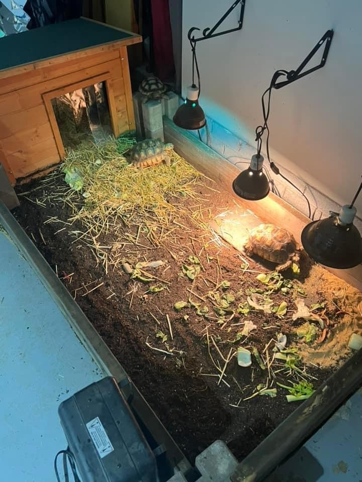 Zoo Med PowerSun UV Bulb 160 Watt customer photo 2