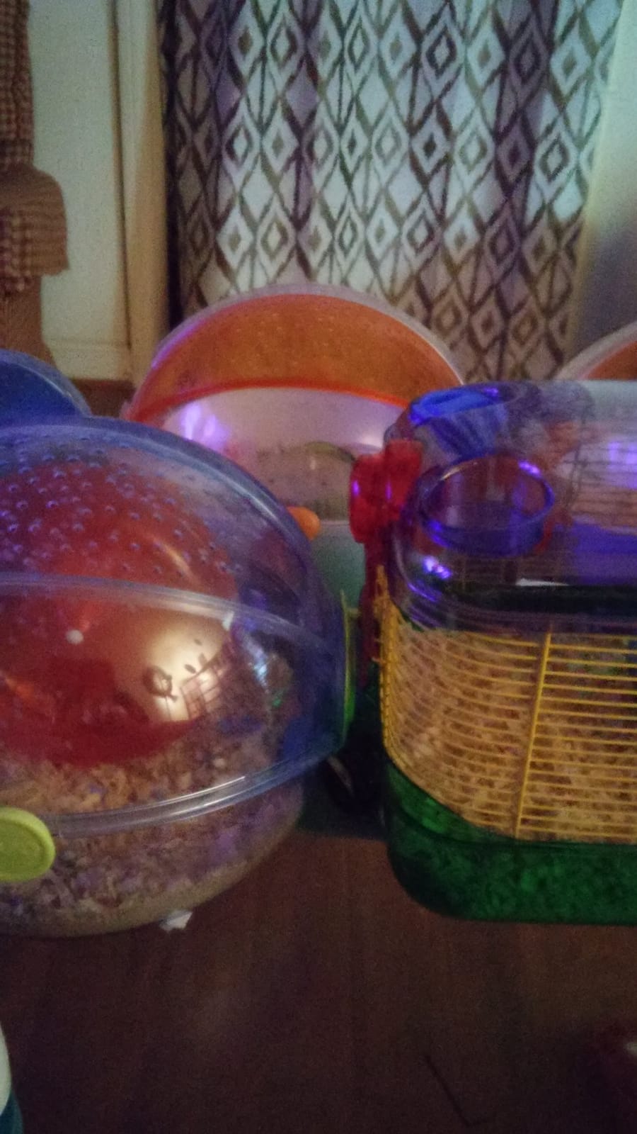 Kaytee Hamster Cage, CritterTrail One Level Habitat for Gerbils or Mice | Secure space to explore. Small hamster cage with climbing tube. 6mm spacing, wheel, mouse cage customer photo 1