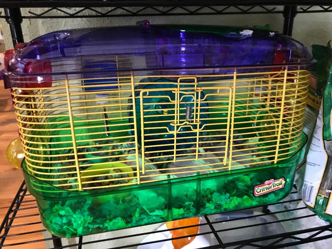 Kaytee Hamster Cage, CritterTrail One Level Habitat for Gerbils or Mice | Secure space to explore. Small hamster cage with climbing tube. 6mm spacing, wheel, mouse cage customer photo 2