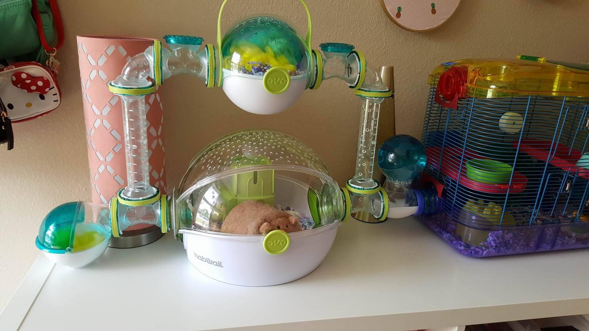 Kaytee CritterTrail Fun-nel 5-Pack Straight Hamster Tubes customer photo 1