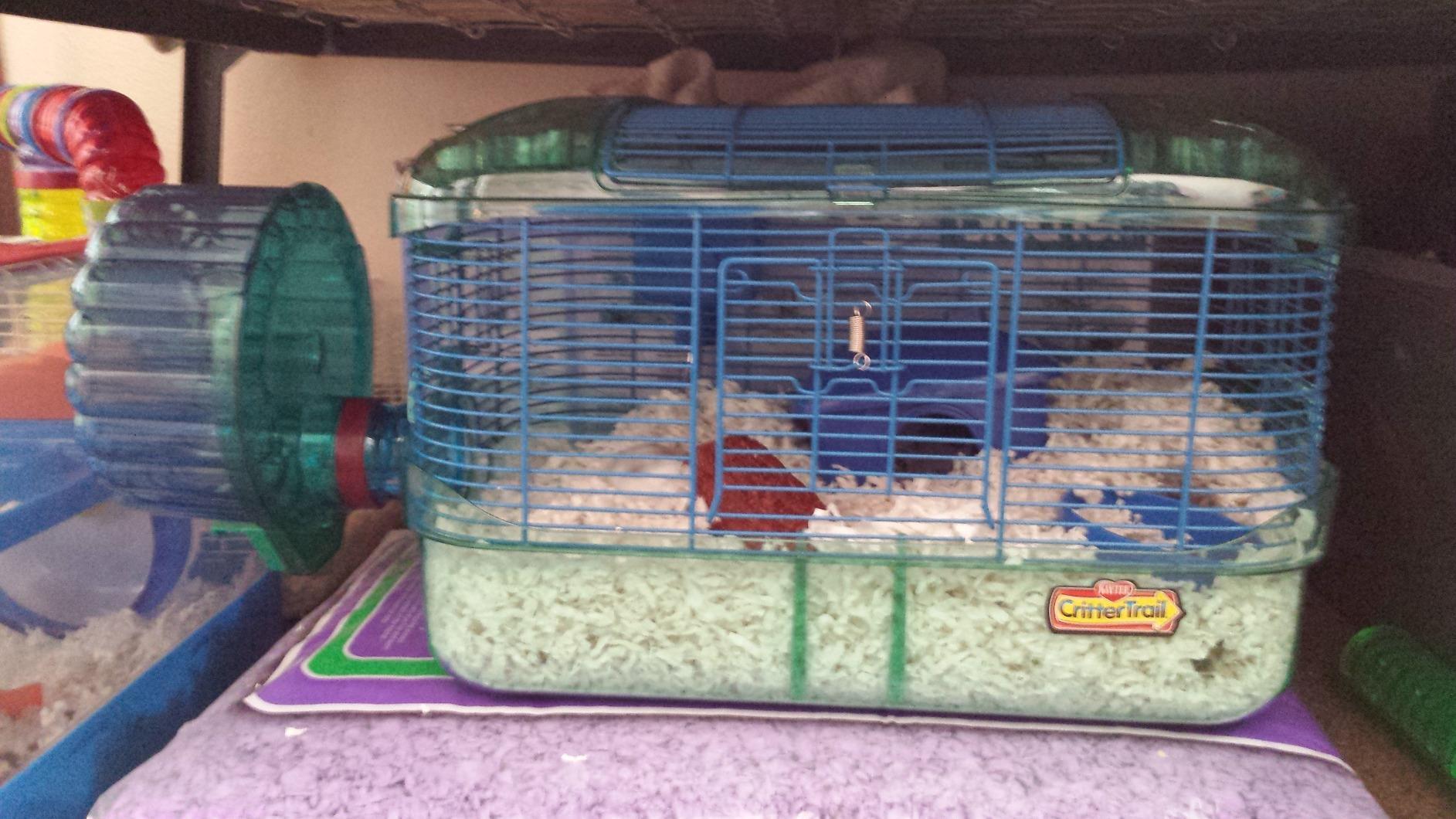Kaytee CritterTrail Fun-nel 5-Pack Straight Hamster Tubes customer photo 2