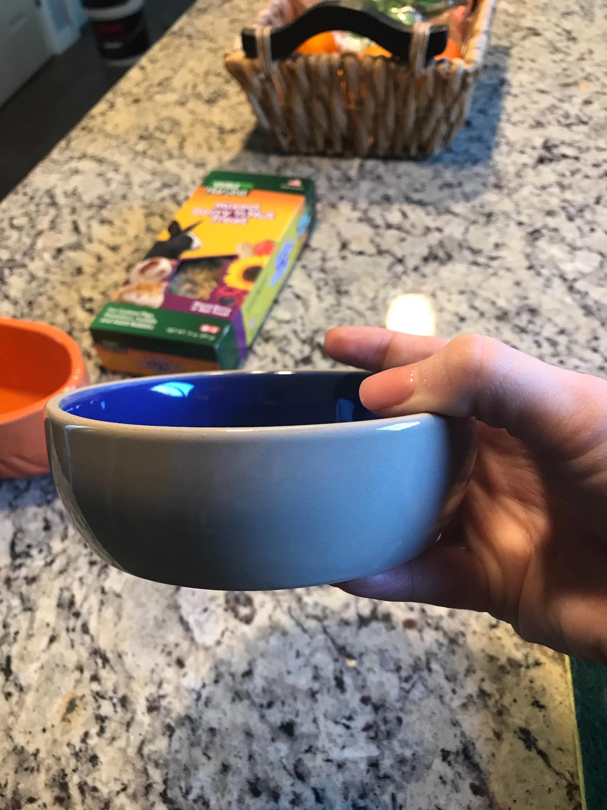 SPOT Ceramic Dish - Whisker-Friendly, Low-Edge Saucer for Cats, Birds, Reptiles, Ideal for Wet or Dry Food, Dishwasher Safe, 5.25-inch Diameter, Capacity: 2 Cups (16 Oz) customer photo 1