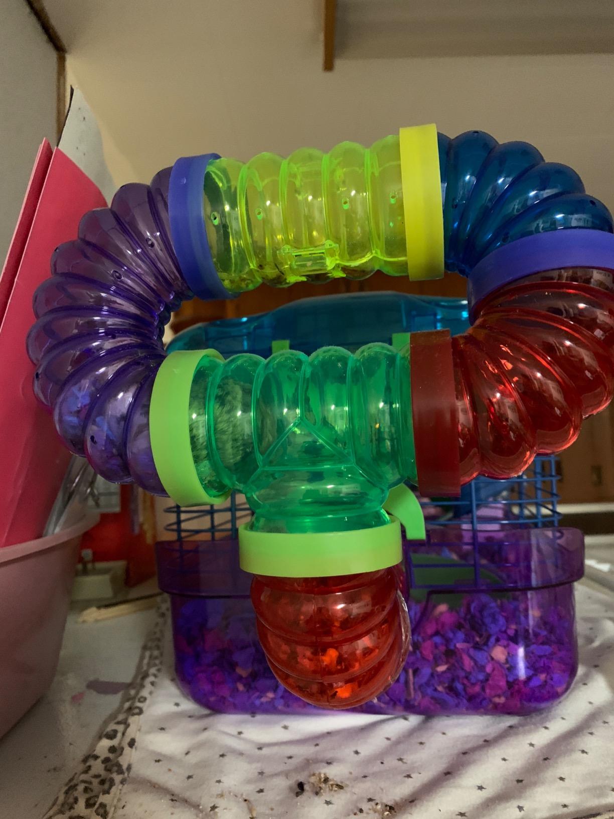 Kaytee CritterTrail Fun-nel Twist-& Turn Hamster Tubes customer photo 2