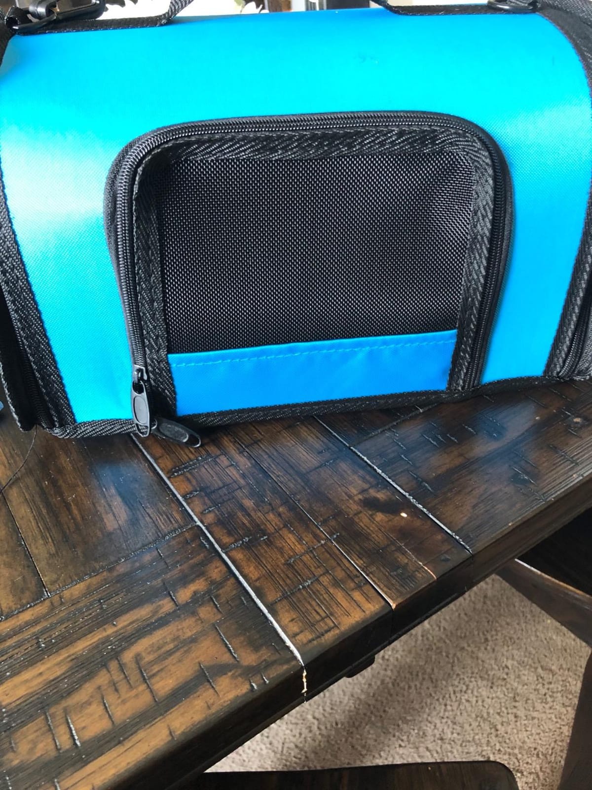 Kaytee Come Along Medium Carrier, Small Pet Carrier for Guinea Pigs | Easy pet travel. Small animal carrier with mesh windows. Vinyl interior, rat carrier, carry handle customer photo 1