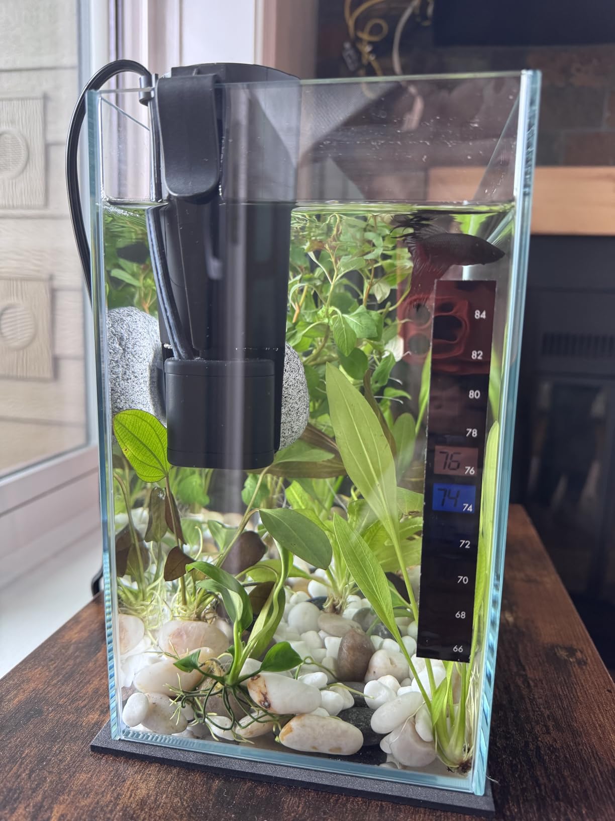 Tetra Whisper Internal Power Filter, Medium Bio-Bag Filter Cartridges, 3-Stage Filtration, 5-10 gal customer photo 1