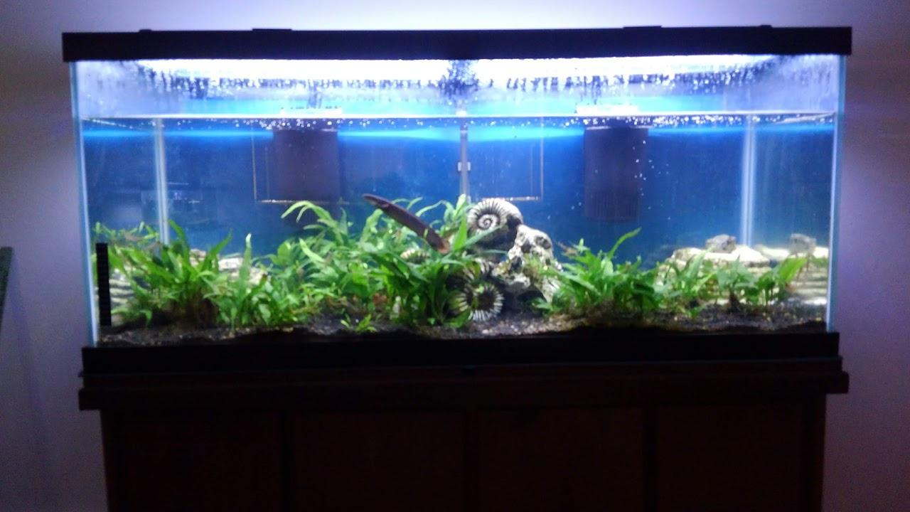 Tetra Whisper Internal Power Filter, Medium Bio-Bag Filter Cartridges, 3-Stage Filtration, 5-10 gal customer photo 2