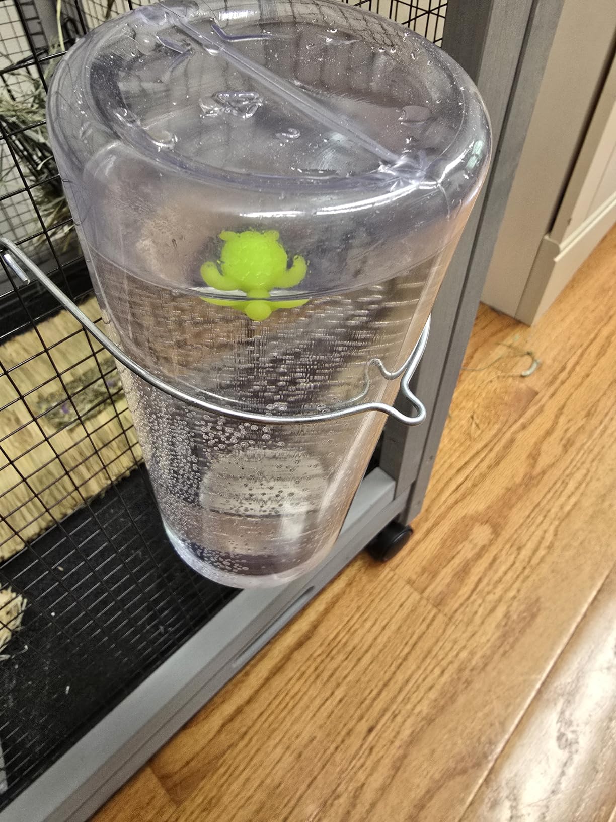 Lixit Standard Cage Water Bottles for Rabbits, Ferrets, Guinea Pigs, Hamsters, Rats, Mice and Other Small Animal's (8 Ounce, Purple) customer photo 1