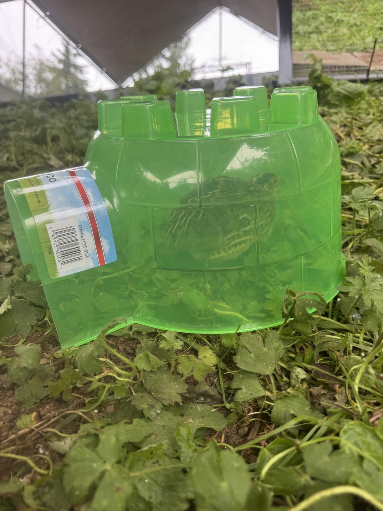 Kaytee Igloo Habitat Hideout for Hamster, Gerbil, Rat, Giant | Cozy hamster hideout. Translucent hamster house. Rat hideout, easy-clean plastic, air vents customer photo 2