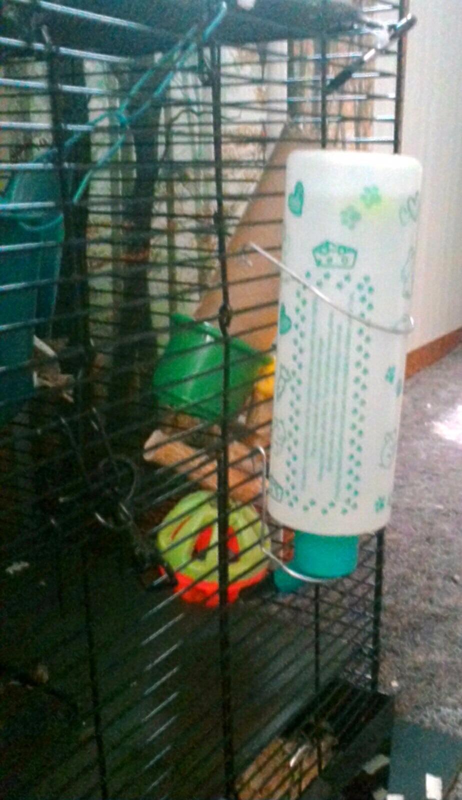 Lixit Weather Resistant Cage Water Bottles for Rabbits, Ferrets, Guinea Pigs Hamsters and Other Small Animals. (32-Ounce) customer photo 1