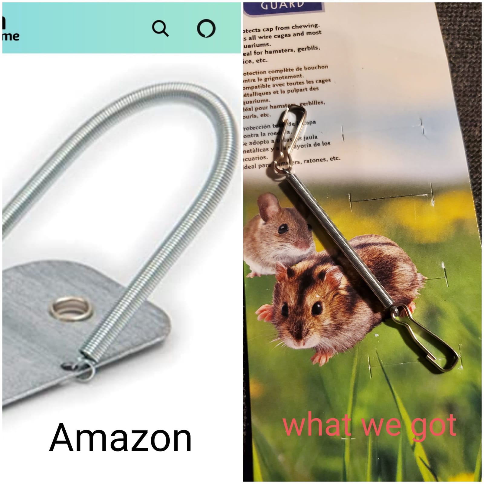 Lixit Wire and Aquarium Cage Water Bottle Chew Guard for Guinea Pigs, Rats, Rabbits, Ferrets Hamsters and Other Small Animals. (8oz),Silver customer photo 1