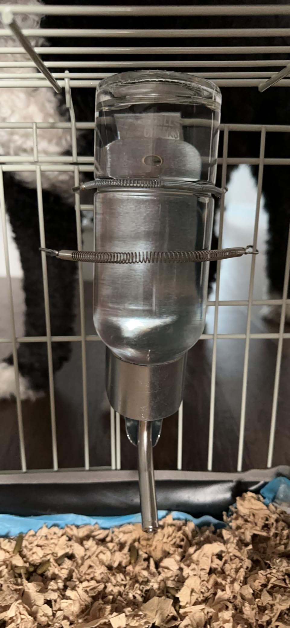 Lixit Wire and Aquarium Cage Water Bottle Chew Guard for Guinea Pigs, Rats, Rabbits, Ferrets Hamsters and Other Small Animals. (8oz),Silver customer photo 2