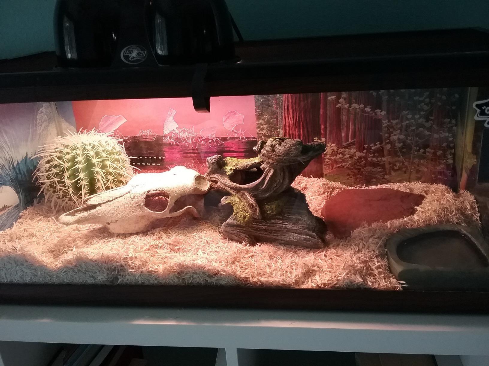 Zoo Med Aspen Snake Bedding 8qt customer photo 2