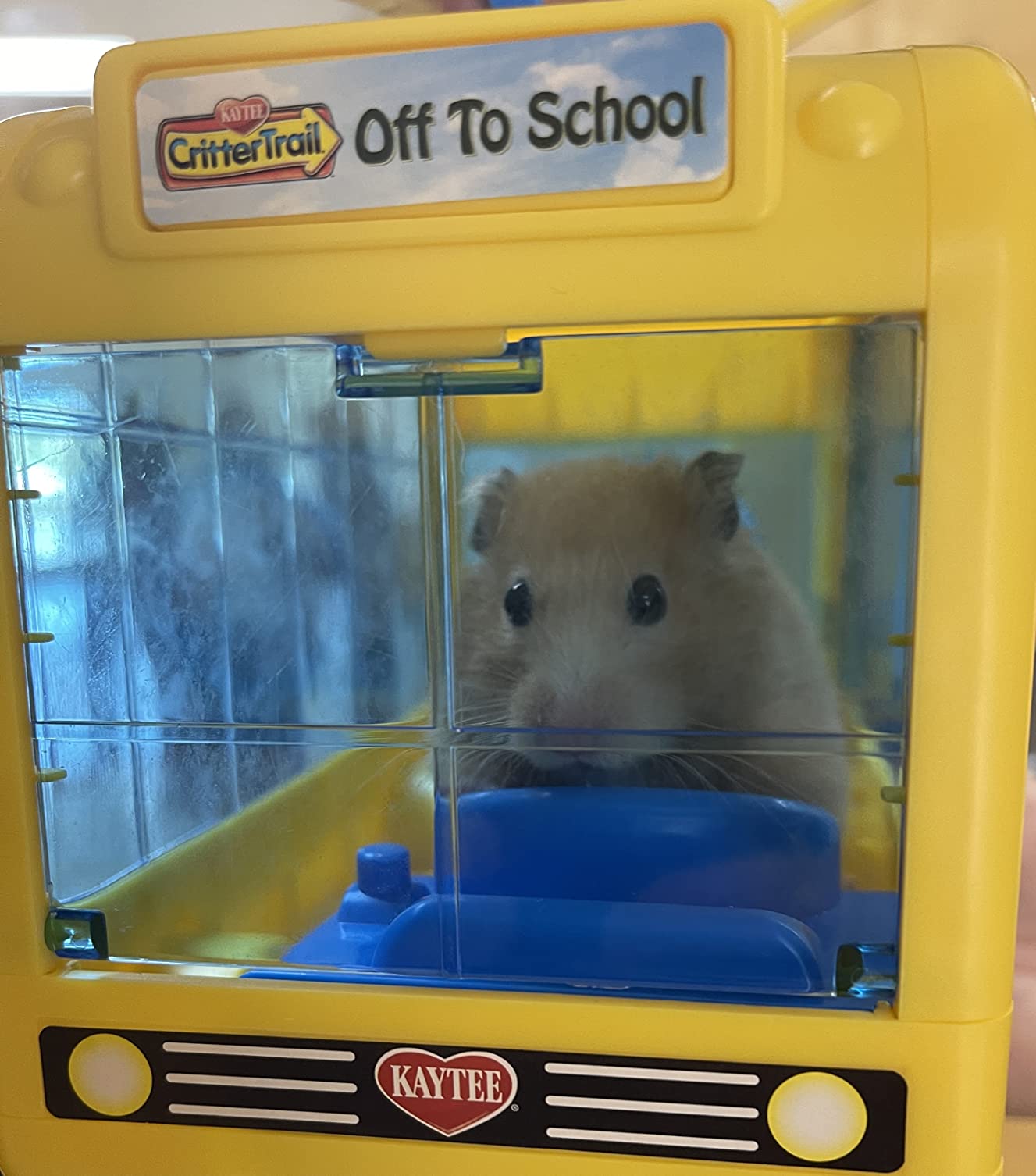 Kaytee CritterTrail Off To School Travel Carrier for Pet Hamsters, Gerbils, or Mice customer photo 2