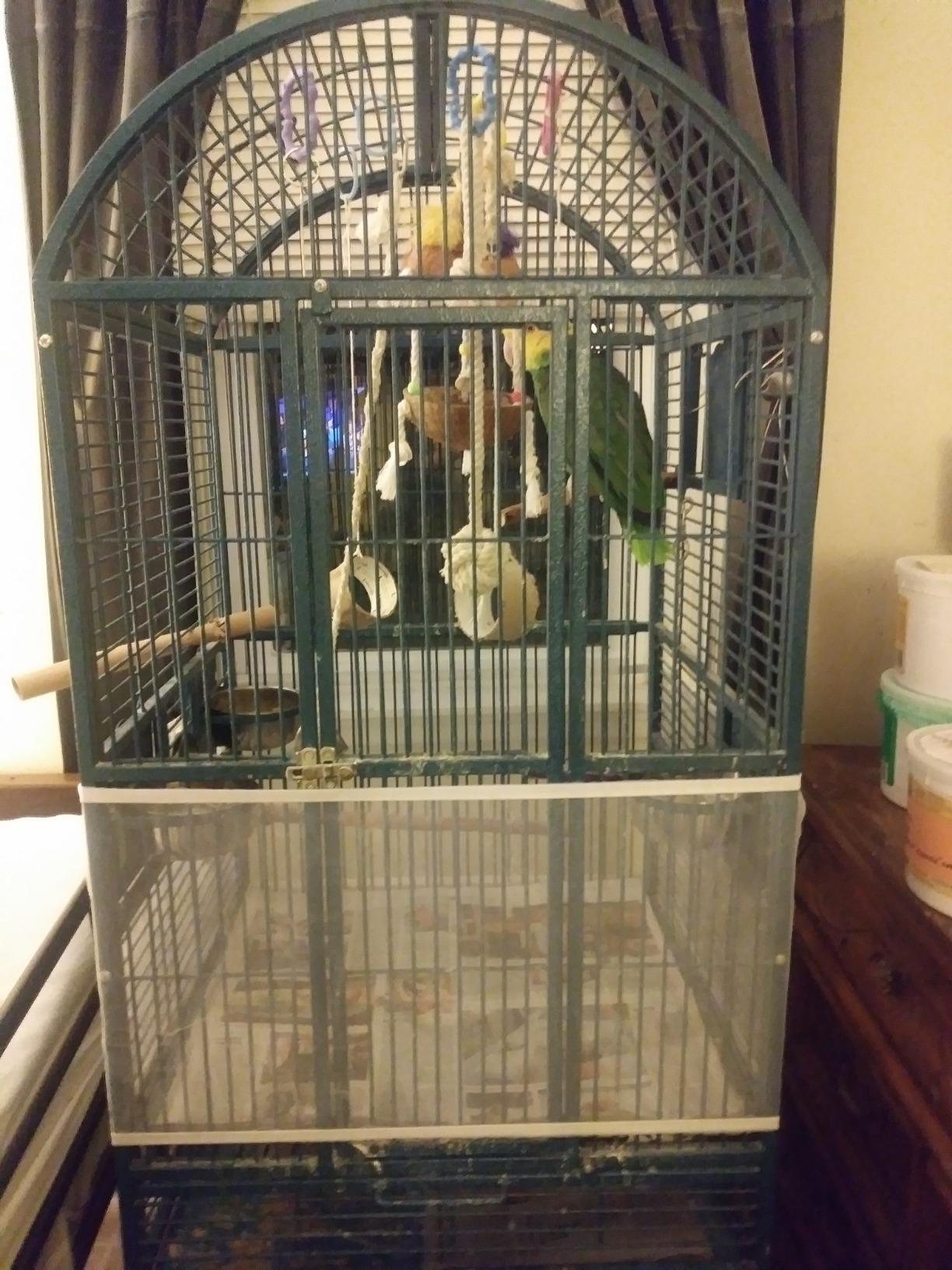 Prevue Pet Products Mesh Bird Seed Catcher with Elastic Band | 8 Inch High Washable Nylon Skirt Cover for Cage Base to Control Seed Debris, Fits Medium and Large Bird Cages customer photo 1