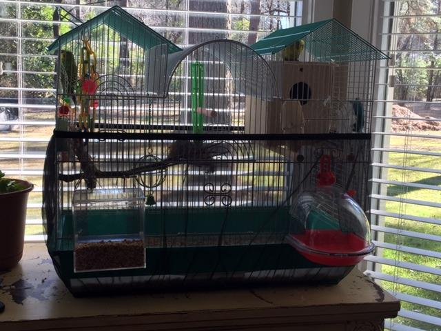 Prevue Pet Products Mesh Bird Seed Catcher with Elastic Band | 8 Inch High Washable Nylon Skirt Cover for Cage Base to Control Seed Debris, Fits Medium and Large Bird Cages customer photo 2