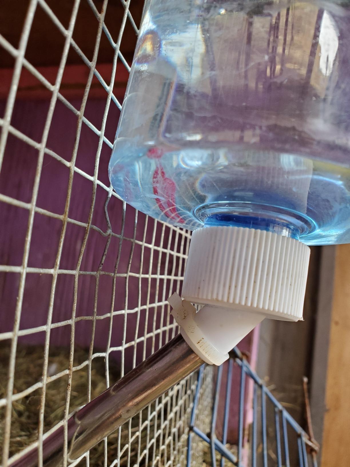 Kaytee Clear View Water Bottle for Pet Gerbils, Hamsters & Mice, 8 oz customer photo 1