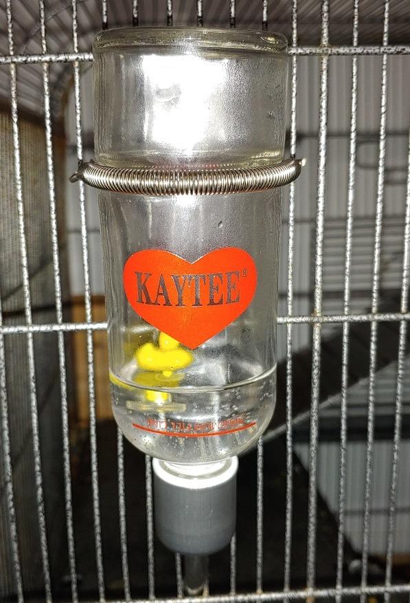 Kaytee Chew-Proof Water Bottle for Pet Ferrets and Rabbits, 26 oz customer photo 1