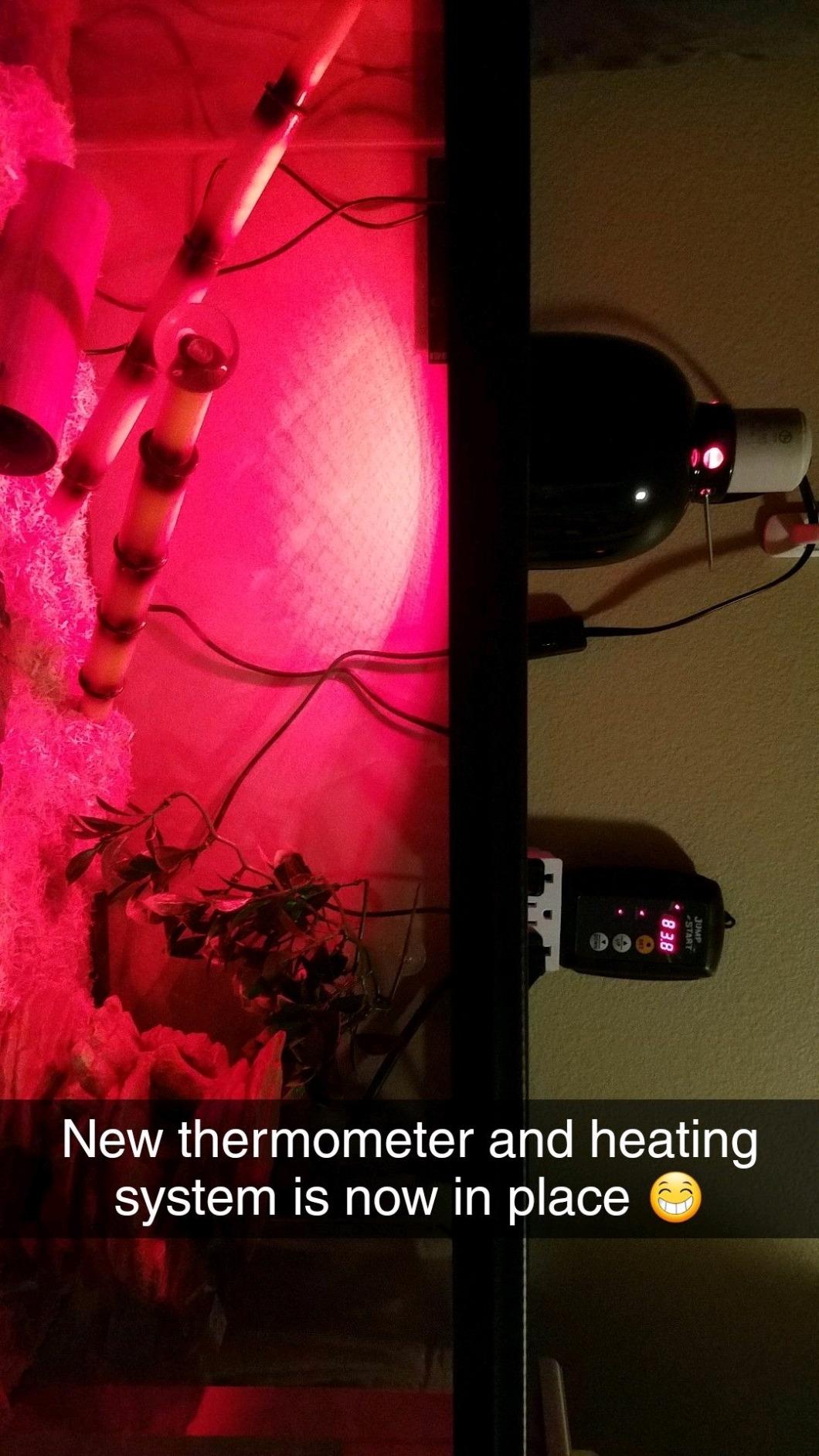 JumpStart by Hydrofarm Digital Thermostat Controller for Heat Mats, MTPRTC, Water Resistant Probe, Celcius or Farenheit Read-Out, 6' Cord customer photo 1
