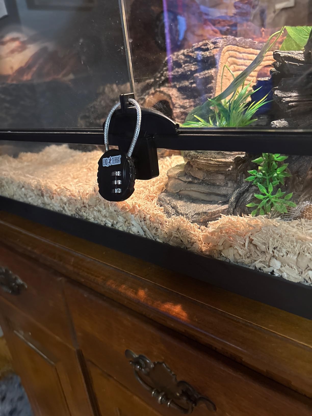 Exo Terra Terrarium Lock customer photo 1