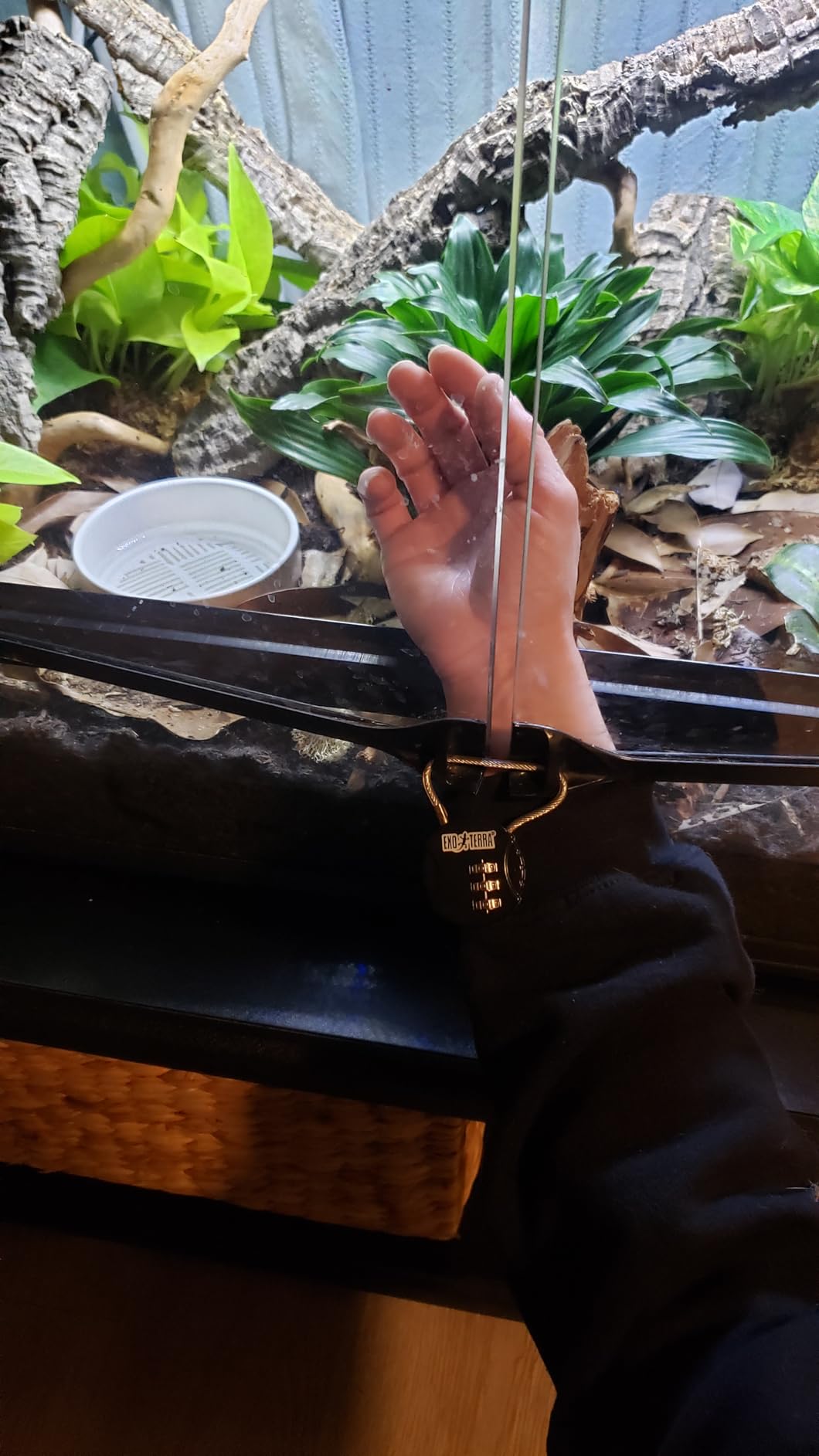 Exo Terra Terrarium Lock customer photo 2