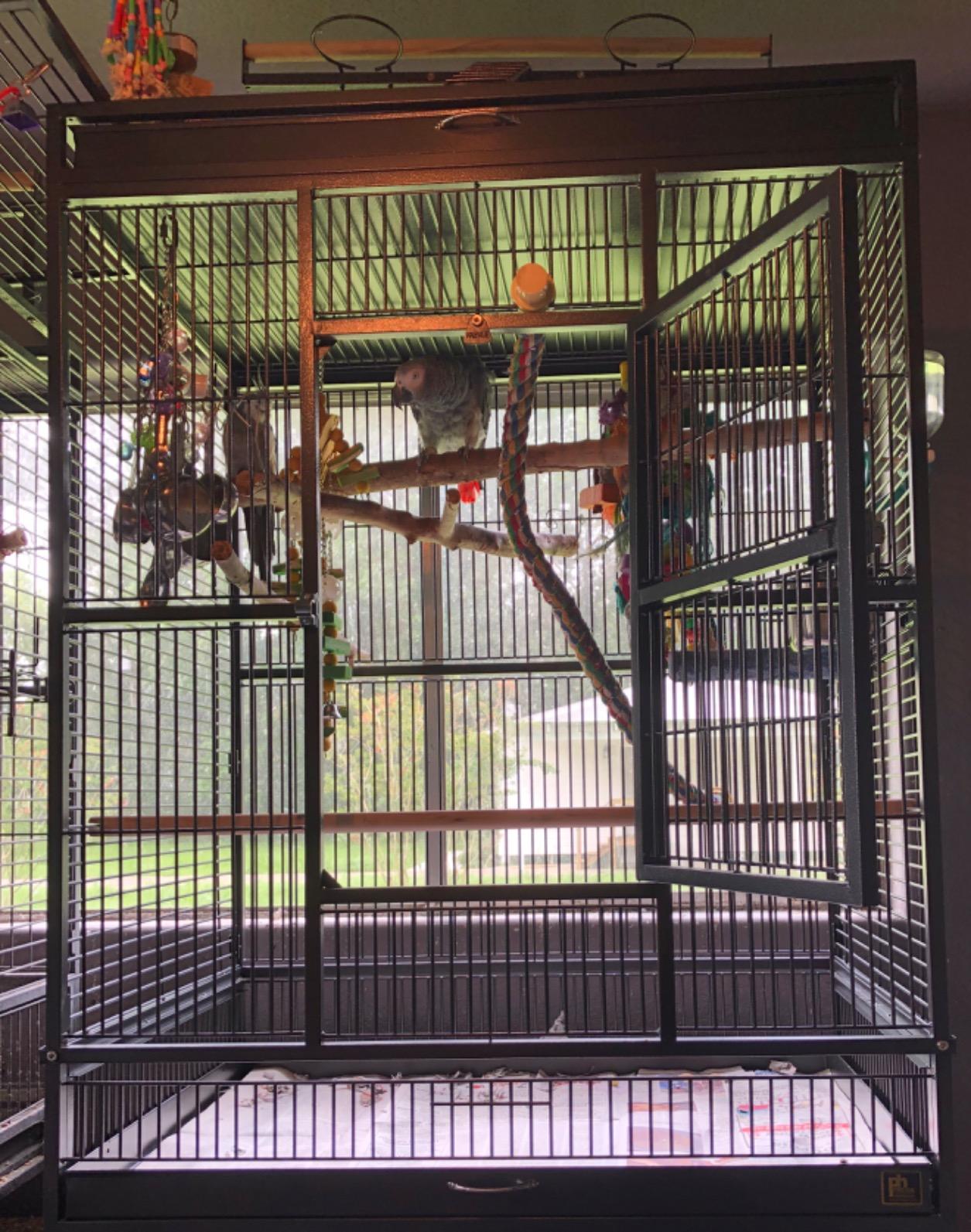 Prevue Pet Products Wrought Iron Select Bird Cage 3154BLK, Black Hammertone, 36-Inch by 24-Inch by 66-Inch customer photo 2