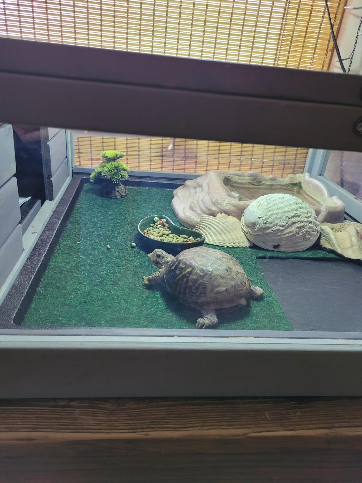 Zilla Reptile Terrarium Bedding Substrate Floor Liner, Green, 40BR/50G, 17.25