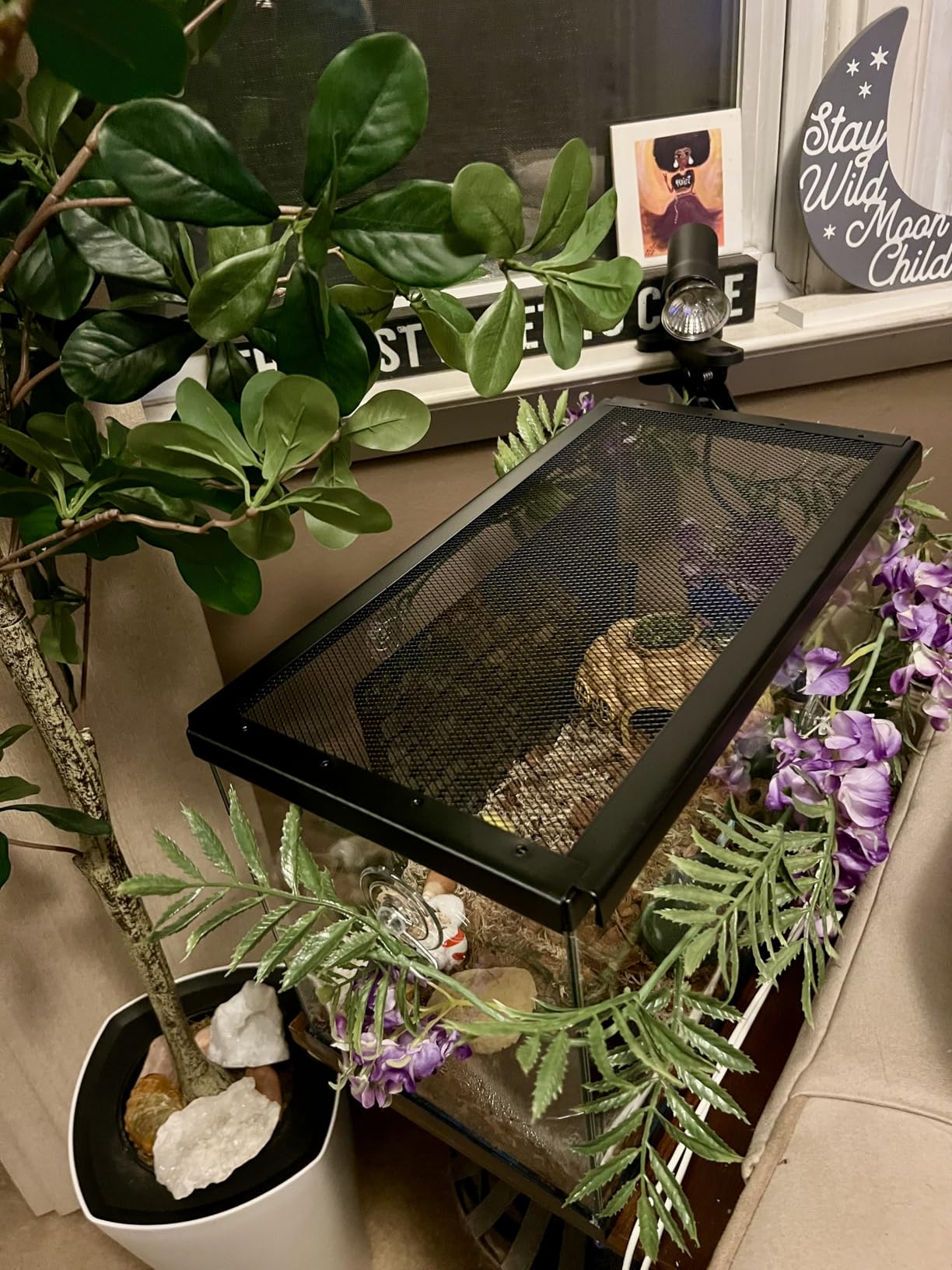 Zilla Fresh Air Screen Cover, Secure and Durable Metal Mesh Cover for Reptile Terrariums, 12 x 6 Inches customer photo 1