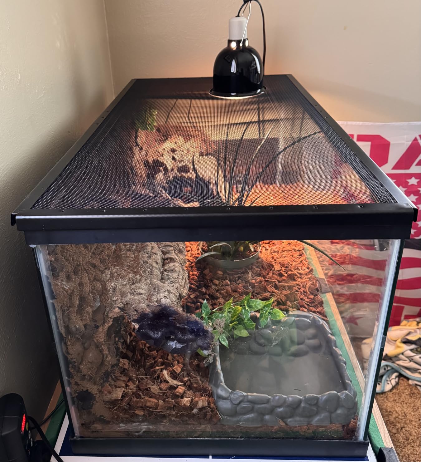 Zilla Fresh Air Screen Cover, Secure and Durable Metal Mesh Cover for Reptile Terrariums, 12 x 6 Inches customer photo 2