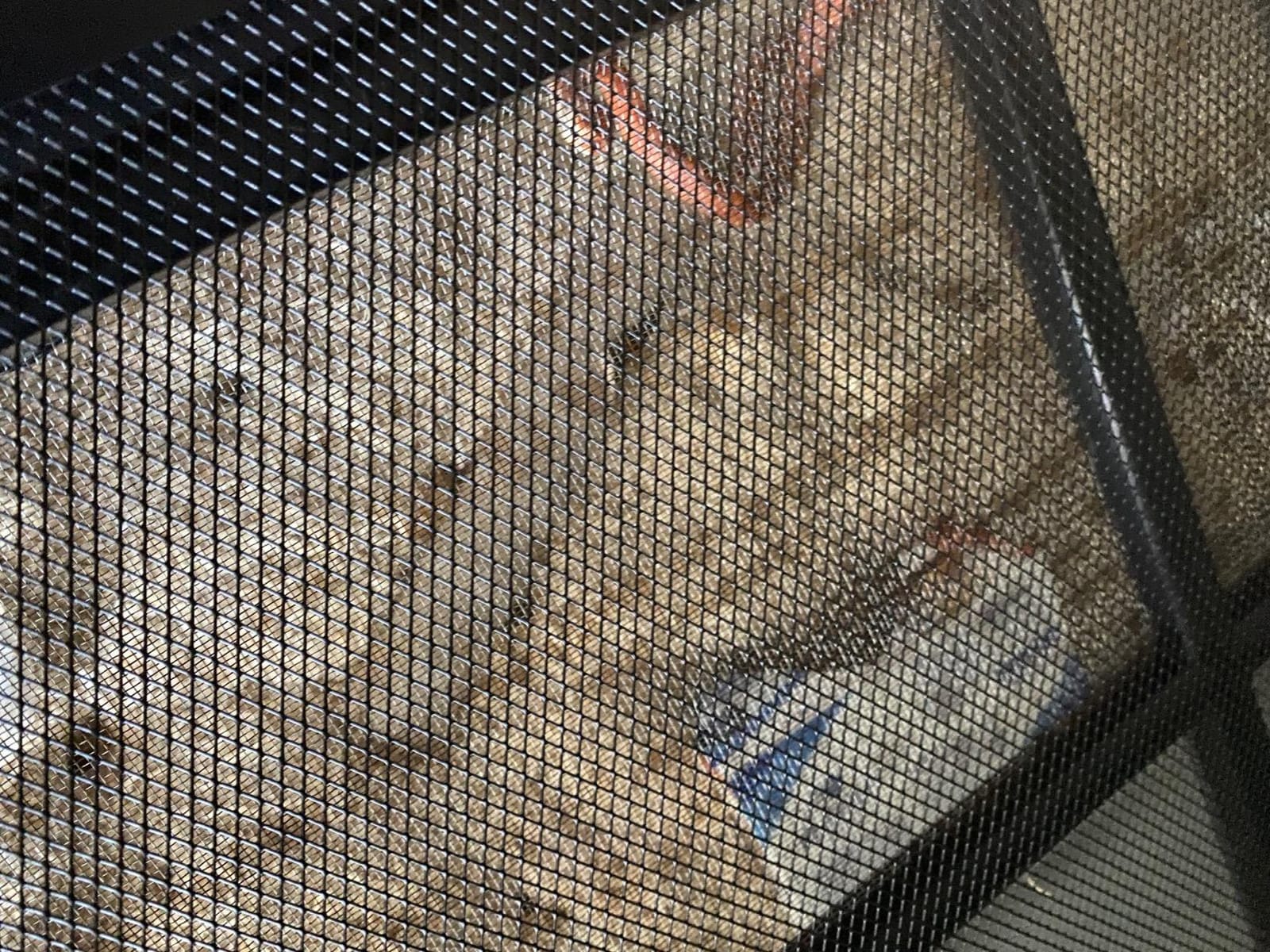 Zilla Fresh Air Screen Cover, Secure and Durable Metal Mesh Cover for Reptile Terrariums, 20 x 10 inches customer photo 2