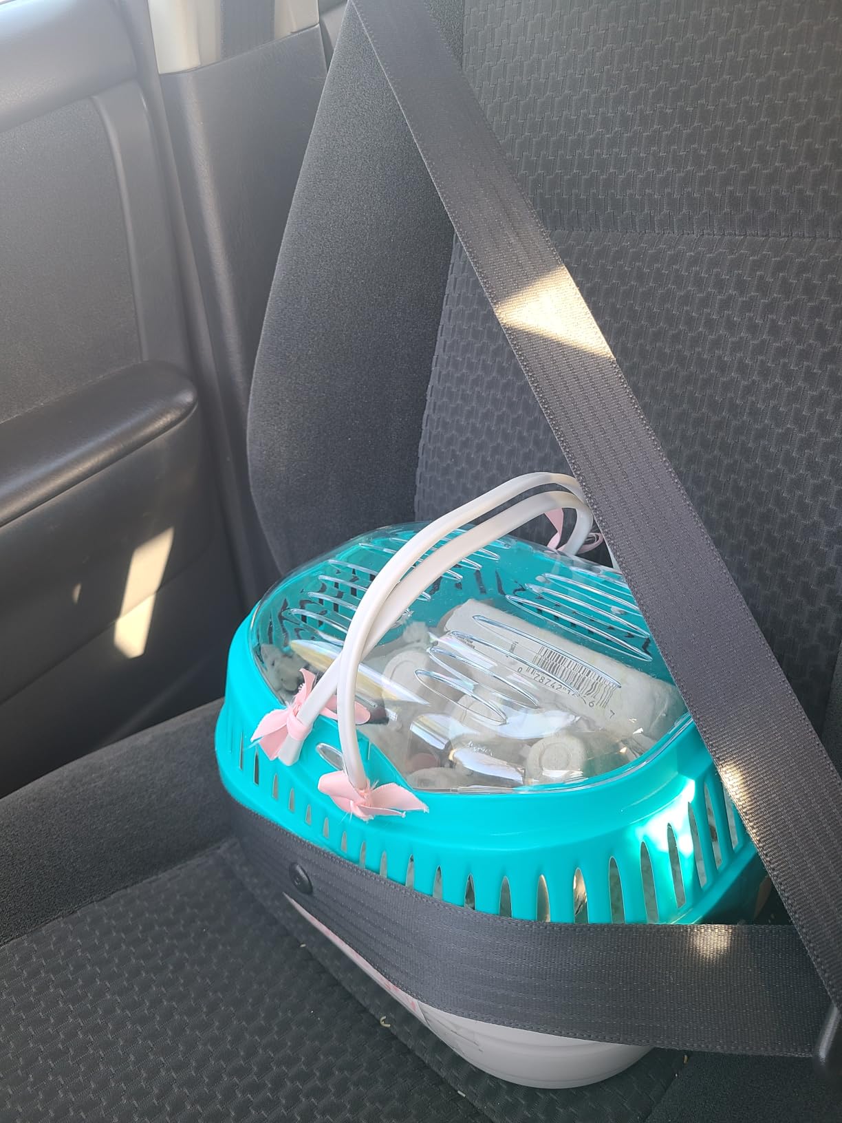 Trixie Pico Transport Crate - Portable Pet Carrier Great for On-The-Go - Traveling Cage for Small Pets, Hamsters, Guinea Pigs, Lizards, and More customer photo 1