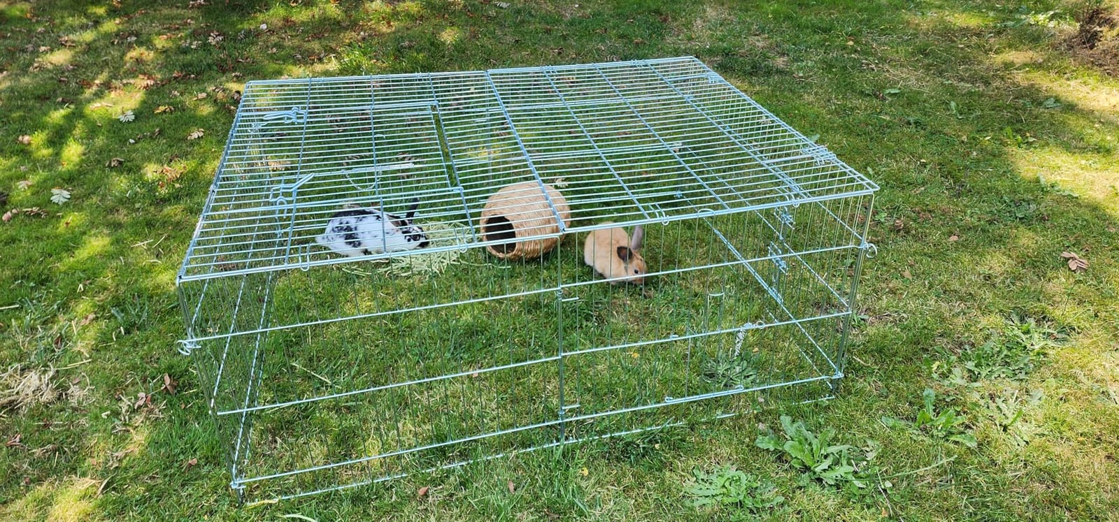 Trixie Rabbit Cage - 34 cu. ft., Outdoor Pen Extends Rabbit Hutch and Chicken Coops, Ideal for Small Animals, Bunny, Guinea Pigs, Chickens customer photo 2
