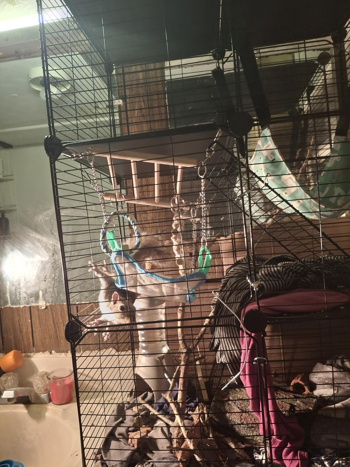 Trixie Small Animal Suspension Bridge, Hanging Cage Accessory with Hammock and Climbing Toys - Ladder and Ring, Ideal for Rats, Ferrets, Guinea Pigs, Mice customer photo 2