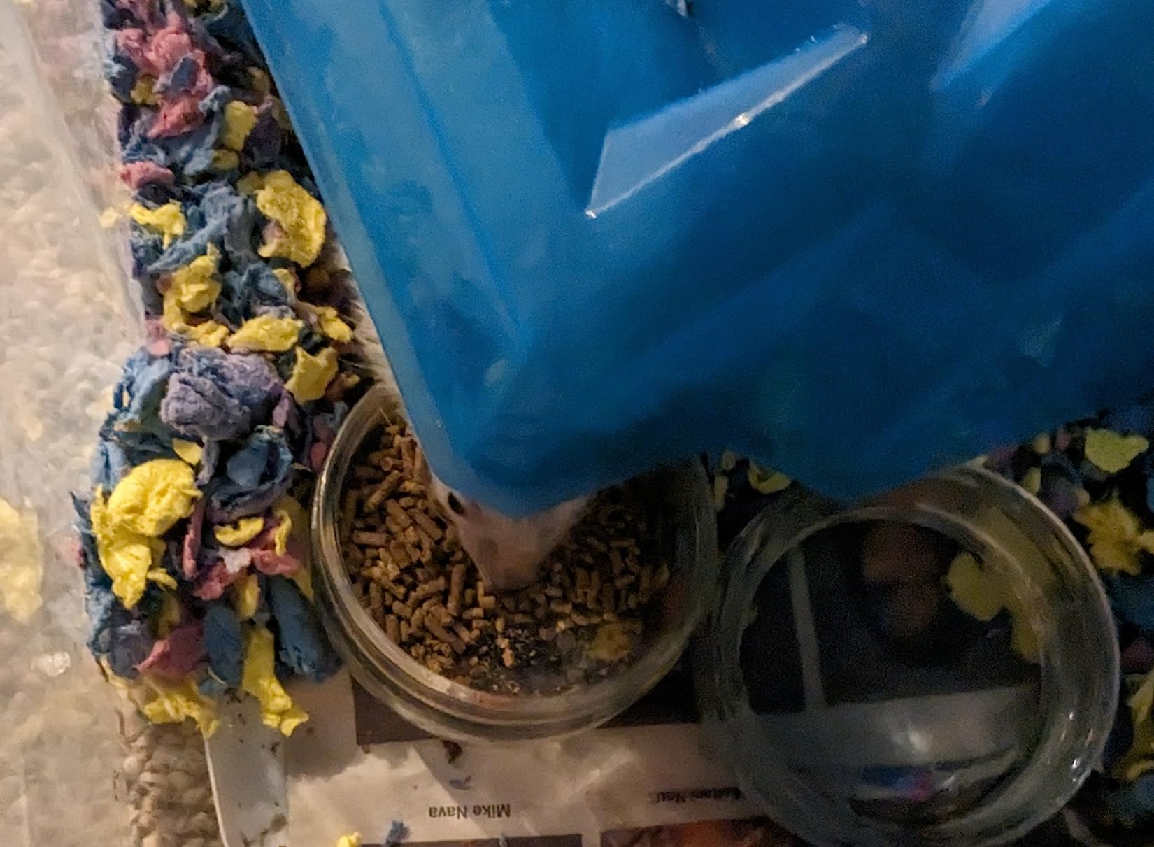 Sunseed Vita Prima Hedgehog Food - High-Protein Poultry, Seafood, and Mealworm Food Blend - Vitamin-Fortified for Happy and Healthy Hedgehogs customer photo 2