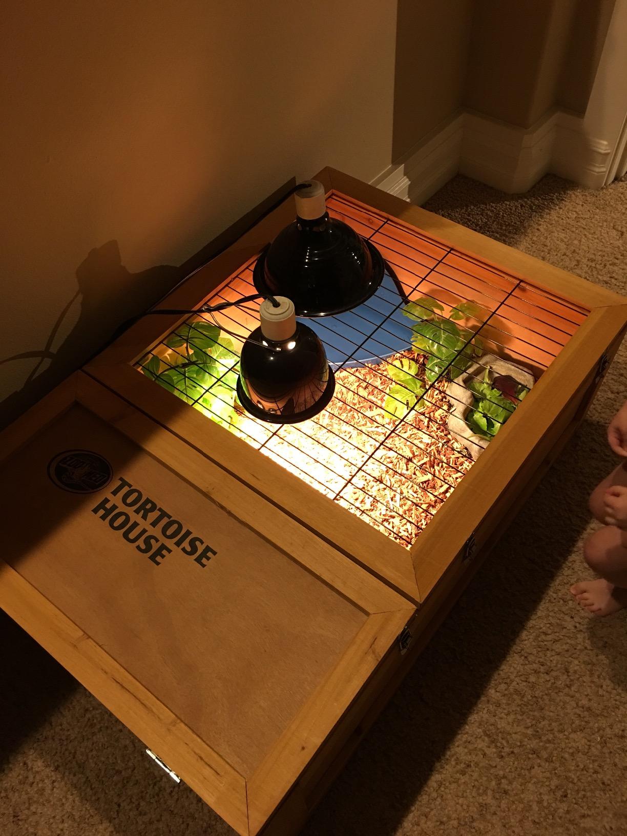 Zoo Med Tortoise House customer photo 1