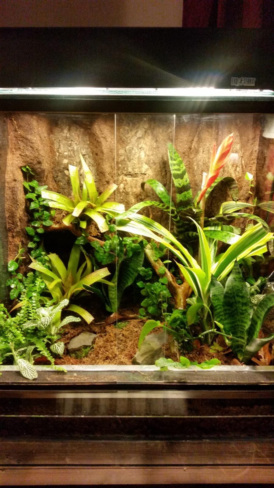 Zoo Med HydroBalls 2.5 lbs. customer photo 1