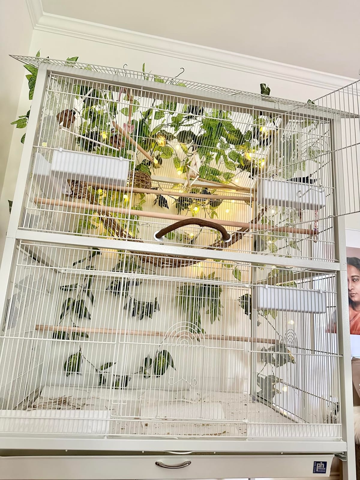 Prevue Pet Products Steel Bird Flight Cage with Wheels - Large Birdcage for Parakeets, Canaries, Finches, Cockatiels, Lovebirds, & Green Cheek, Metal Standing Birdcage - Black, Large customer photo 2