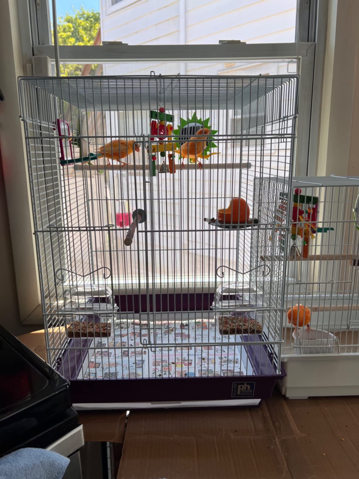 Prevue Pet Products Square Roof Bird Cage Kit - White and Purple | Ideal for Small Birds, Stand Compatible, Simple Cage Assembly, Easy to Clean and Maintain customer photo 1