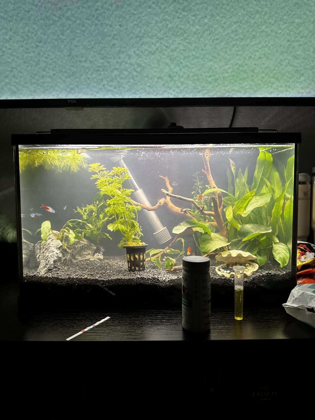 Seachem Flourite Black Clay Gravel - Stable Porous Natural Planted Aquarium Substrate customer photo 1