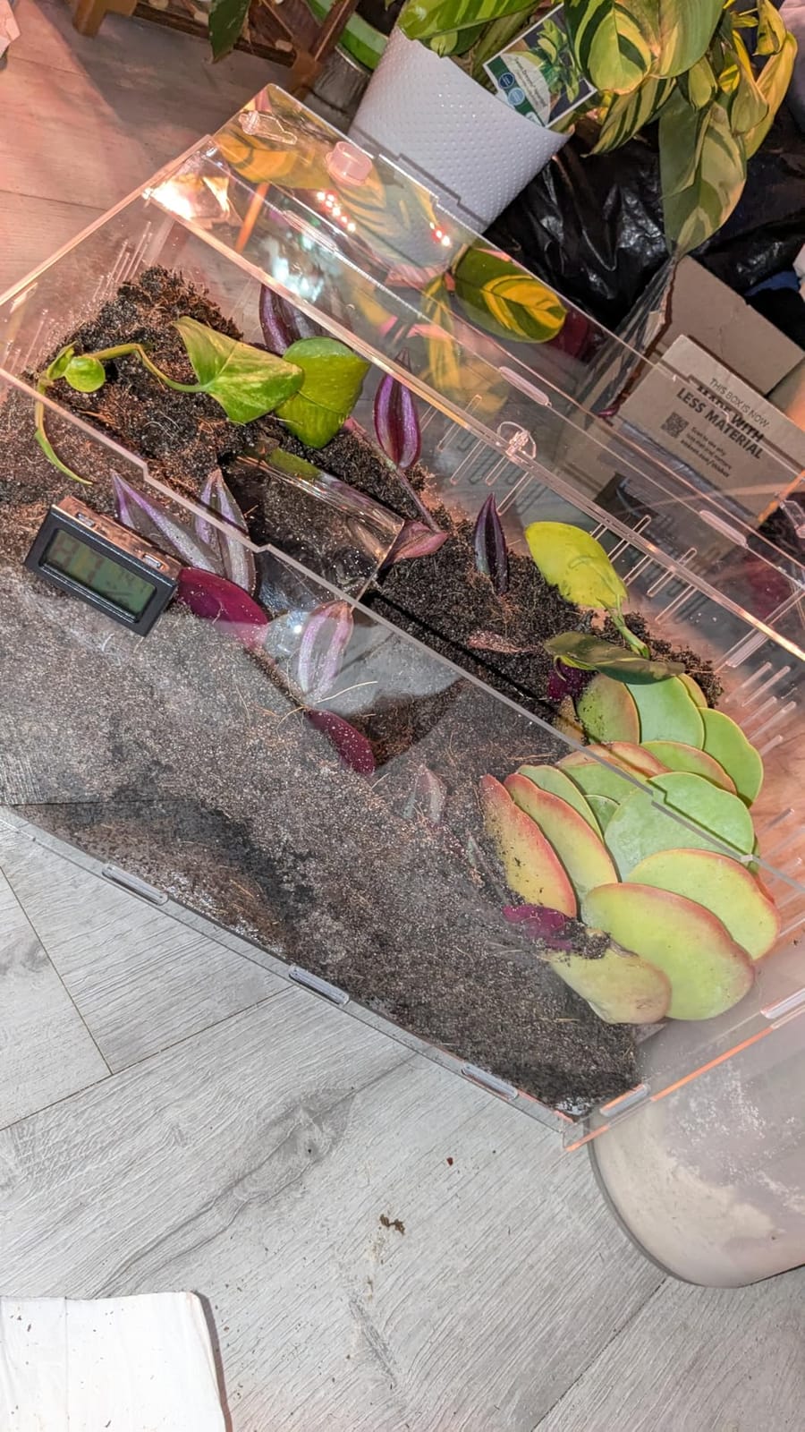 Exo Terra Plantation Soil, 8 Qt (8.8 L) customer photo 1