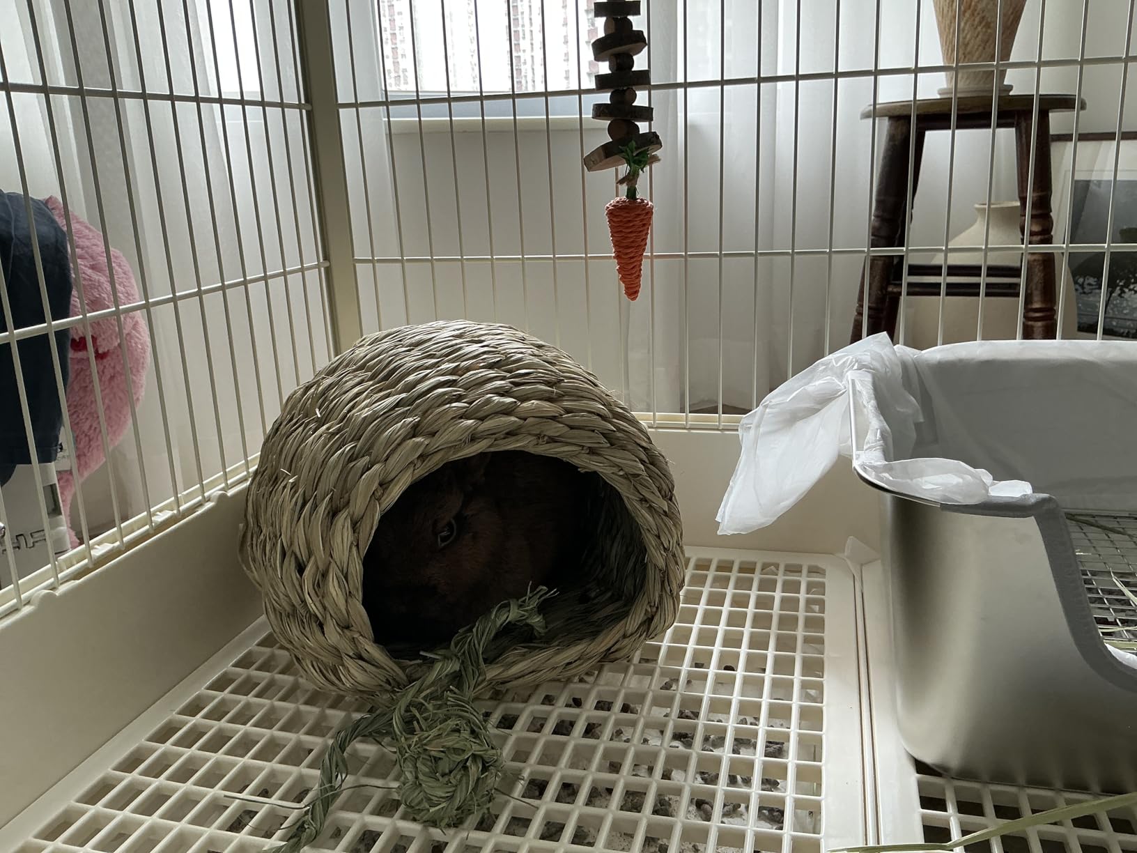 Oxbow Timothy Hay Bungalow, Guinea Pig Hideout & Rabbit House, Medium, Edible customer photo 1