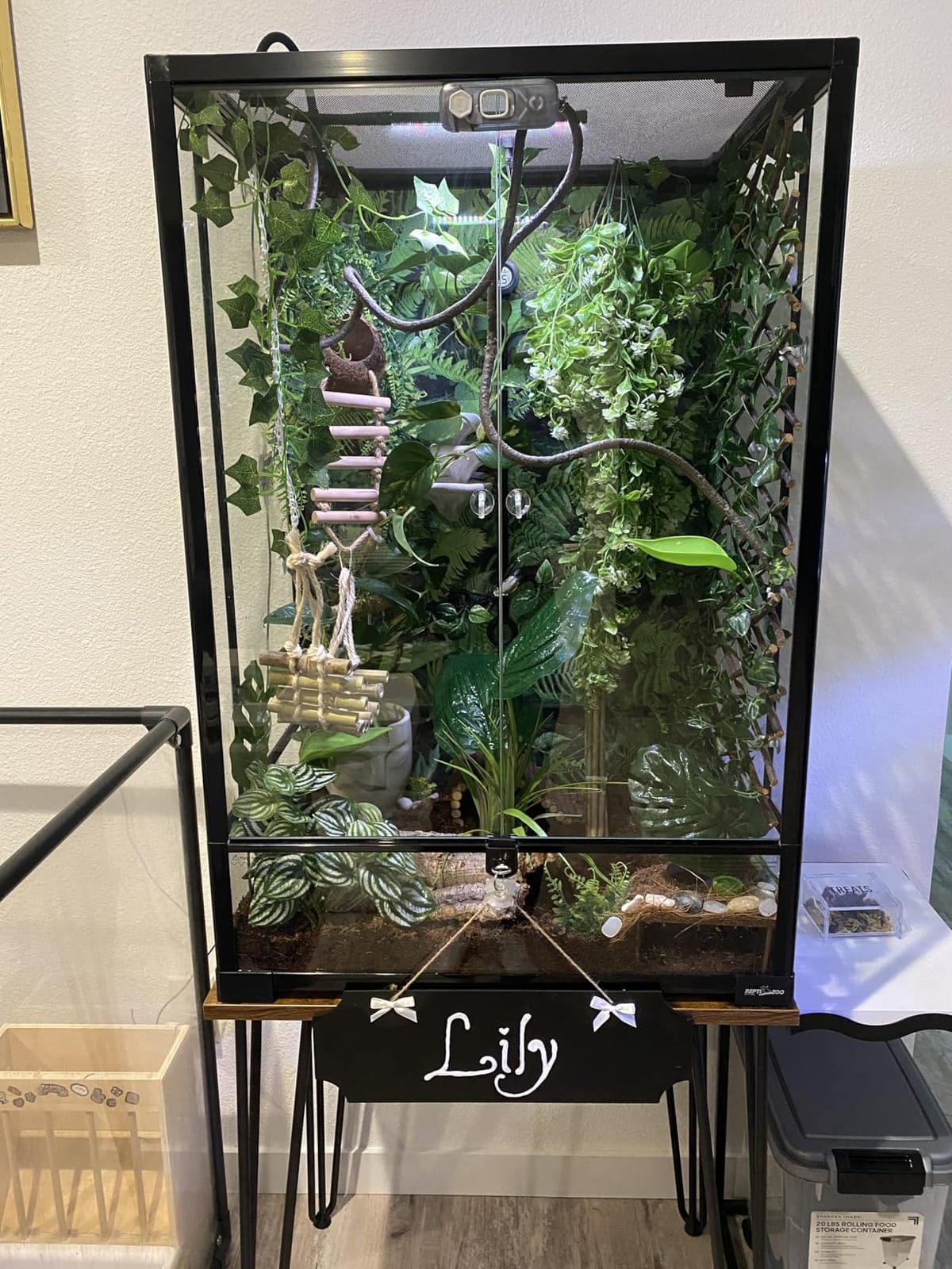 Zilla Coconut Husk Brick, Organic Bedding for Reptiles, Made with 100% Coconut Fiber, Ideal for Tropical Habitats and Egg Incubation customer photo 2