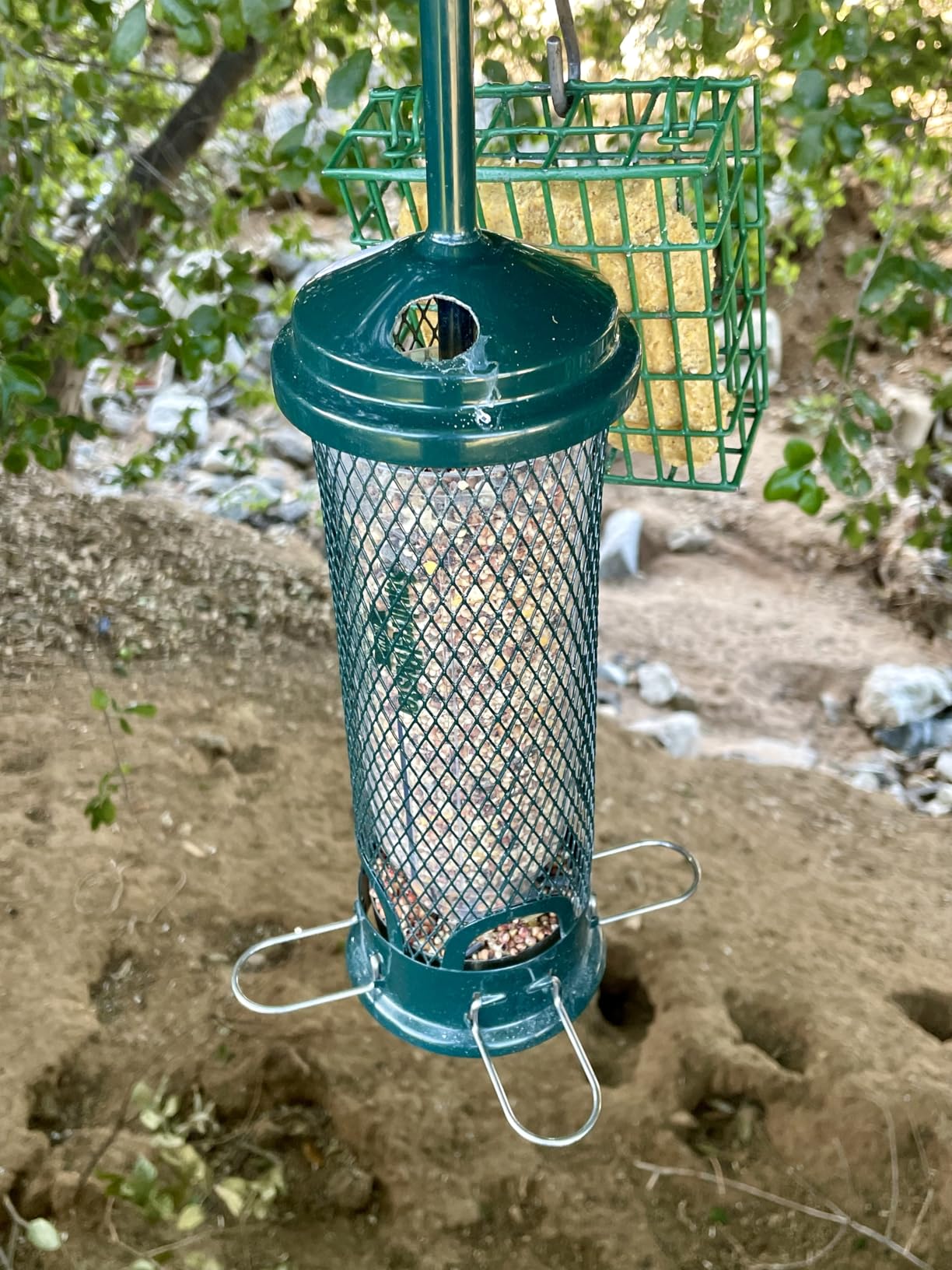 Squirrel Buster Mini Squirrel-Proof Bird Feeder for Wild Birds – 4 Metal Perches, 1 lb Seed Capacity, Chew-Proof Design, Lifetime Care, Garden Green | Four metal perches, chew-proof design, easy cleaning, for clinging and perching birds customer photo 1