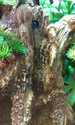 Zoo Med Naturalistic Terrarium Waterfall Kit customer photo 2